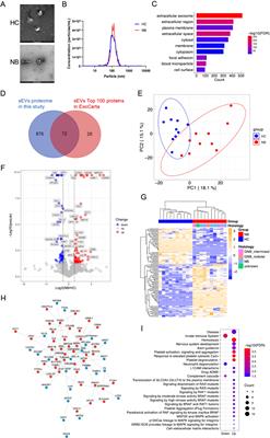 Proteomic analysis of serum small extracellular vesicles identifies diagnostic biomarkers for neuroblastoma